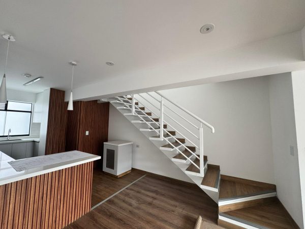 Duplex 1