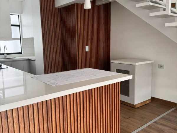 Duplex 3